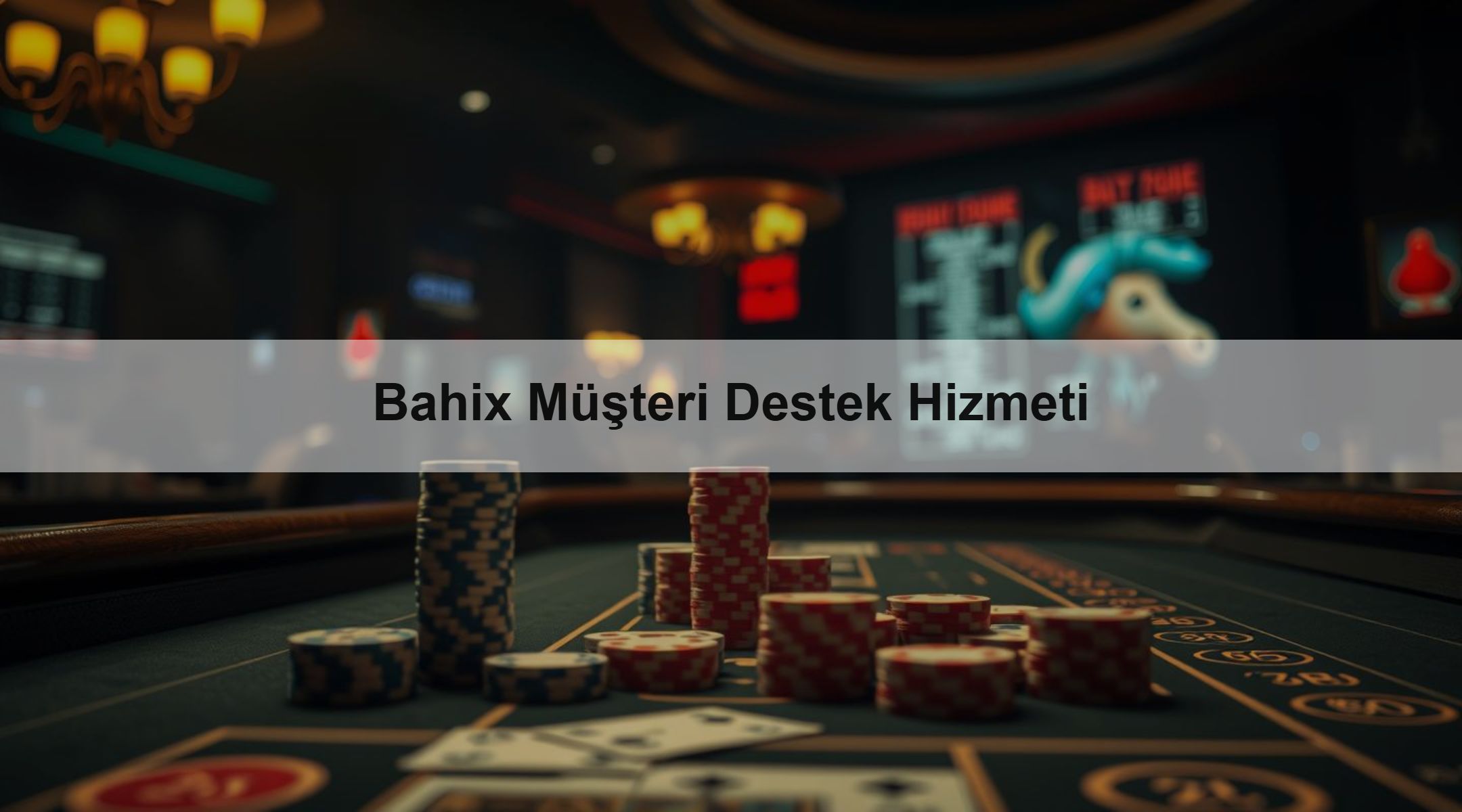 Bahix Müşteri Destek Hizmeti